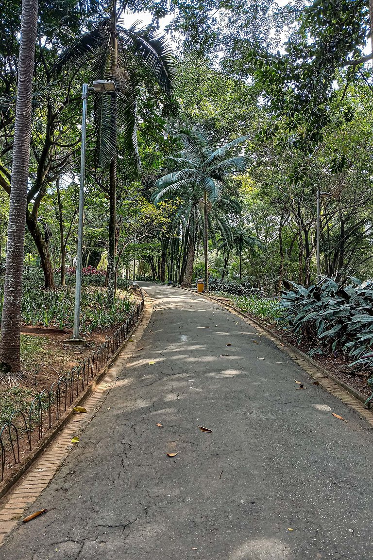 Apartamentos mobiliados com excelente vista e localização |